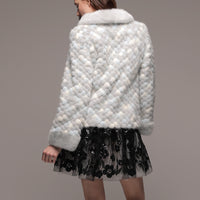 モザイク ドゥ チエ ジャケット