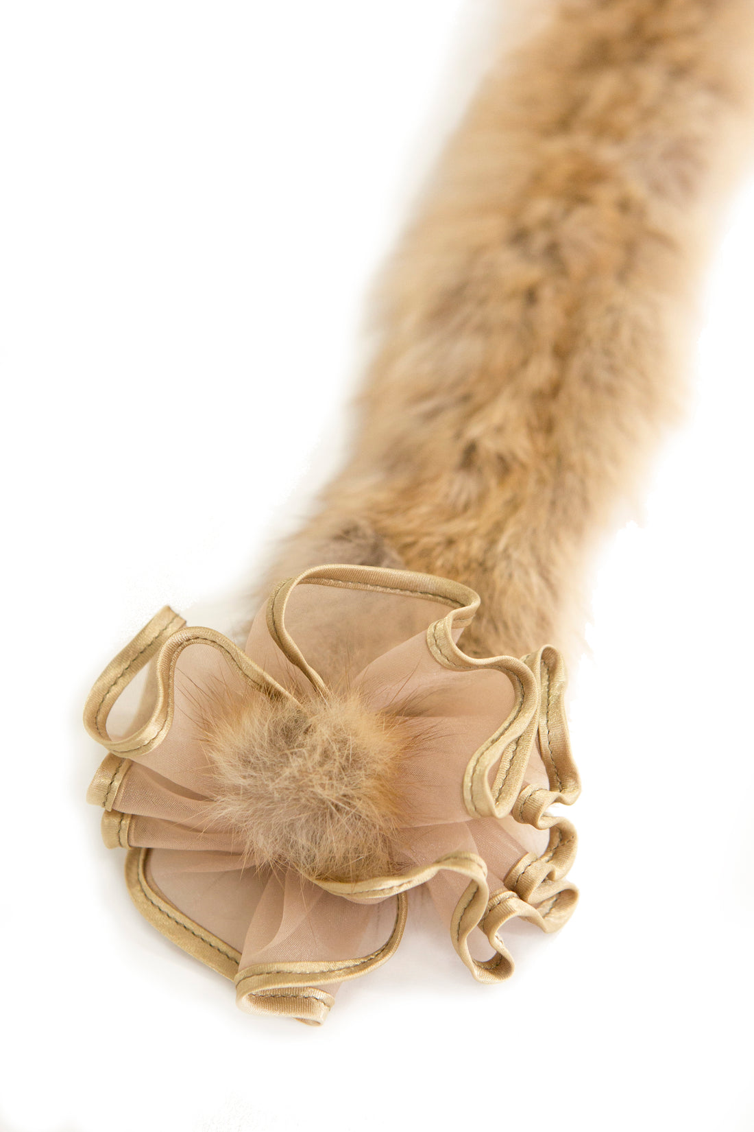 #カラー-ゴールド
#COLOR-gold