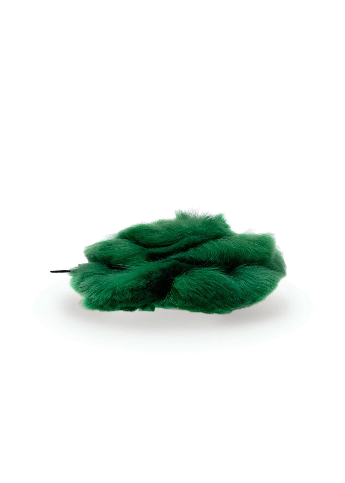 #カラー-グリーン
#COLOR-green