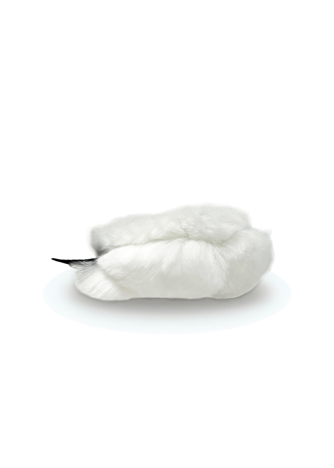 #カラー-ホワイト
#COLOR-white