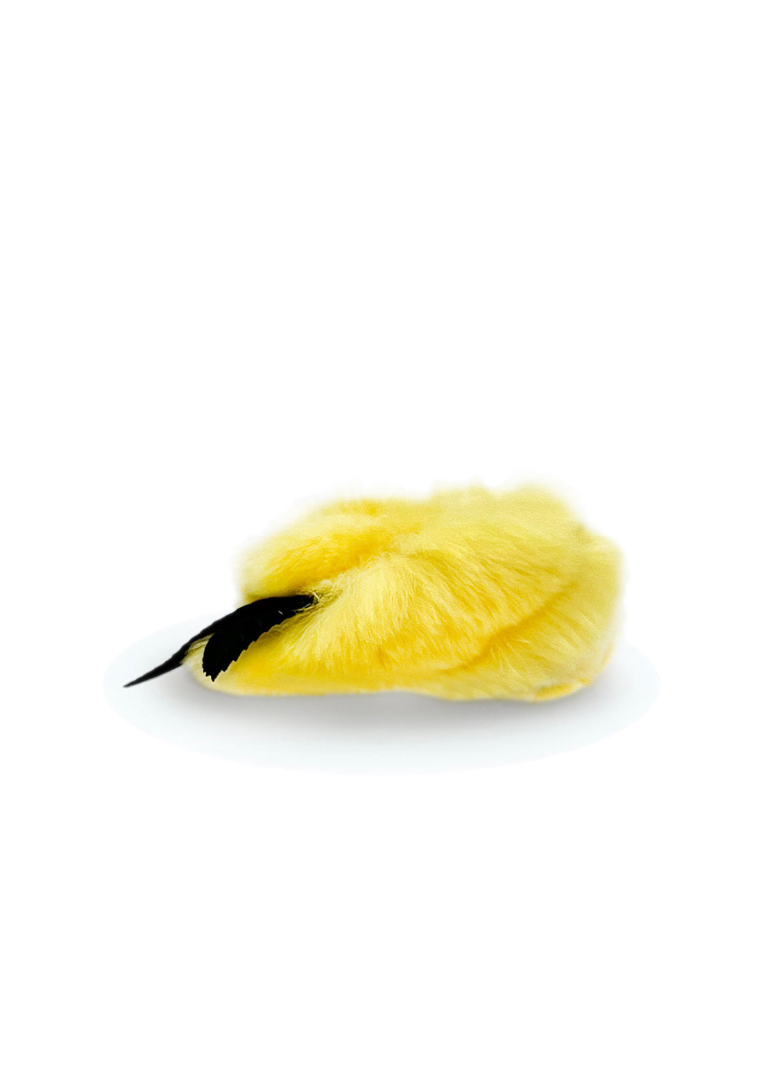 #カラー-イエロー
#COLOR-yellow